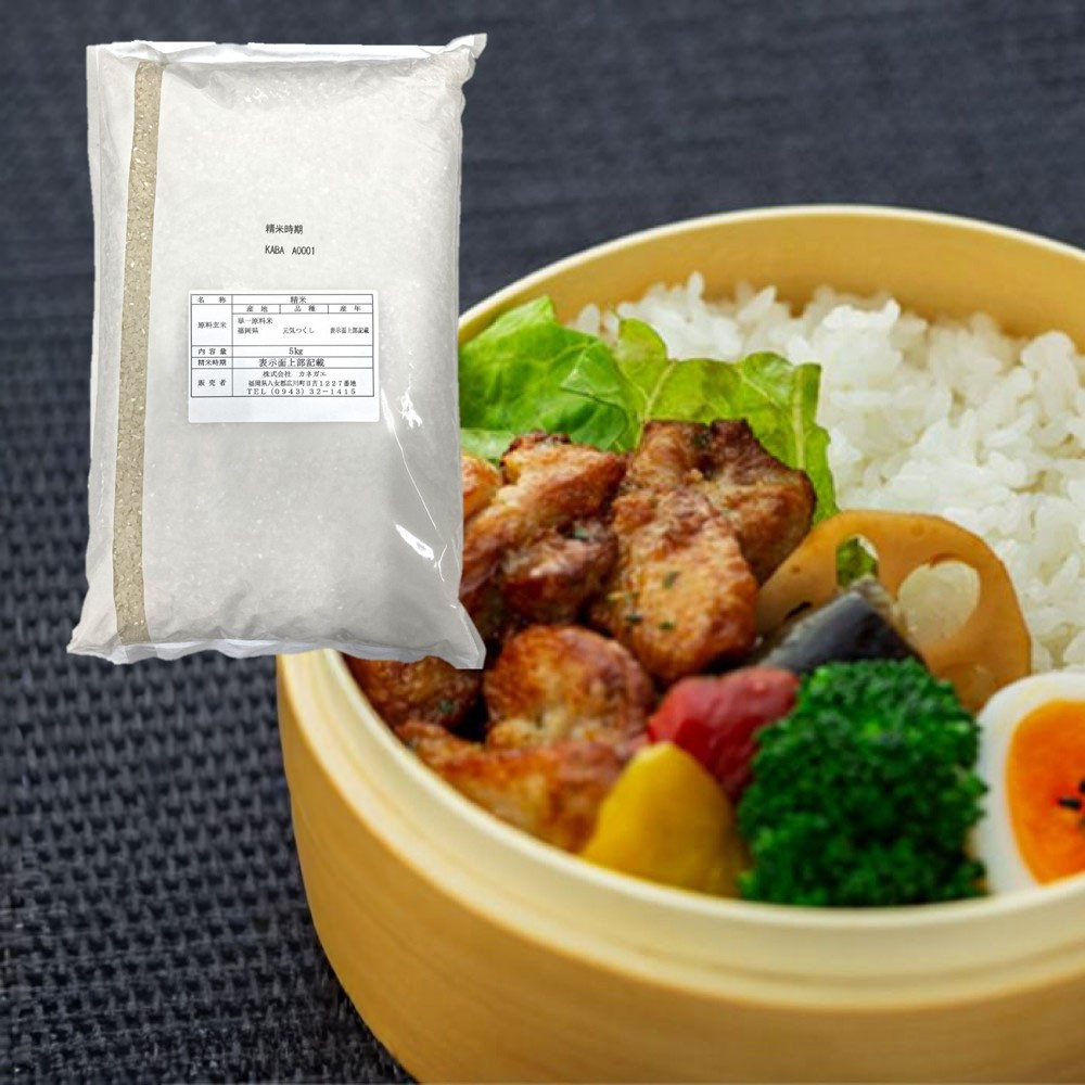 【新米 令和7年産】福岡県産 米 元気つくし 5kg (1袋 )