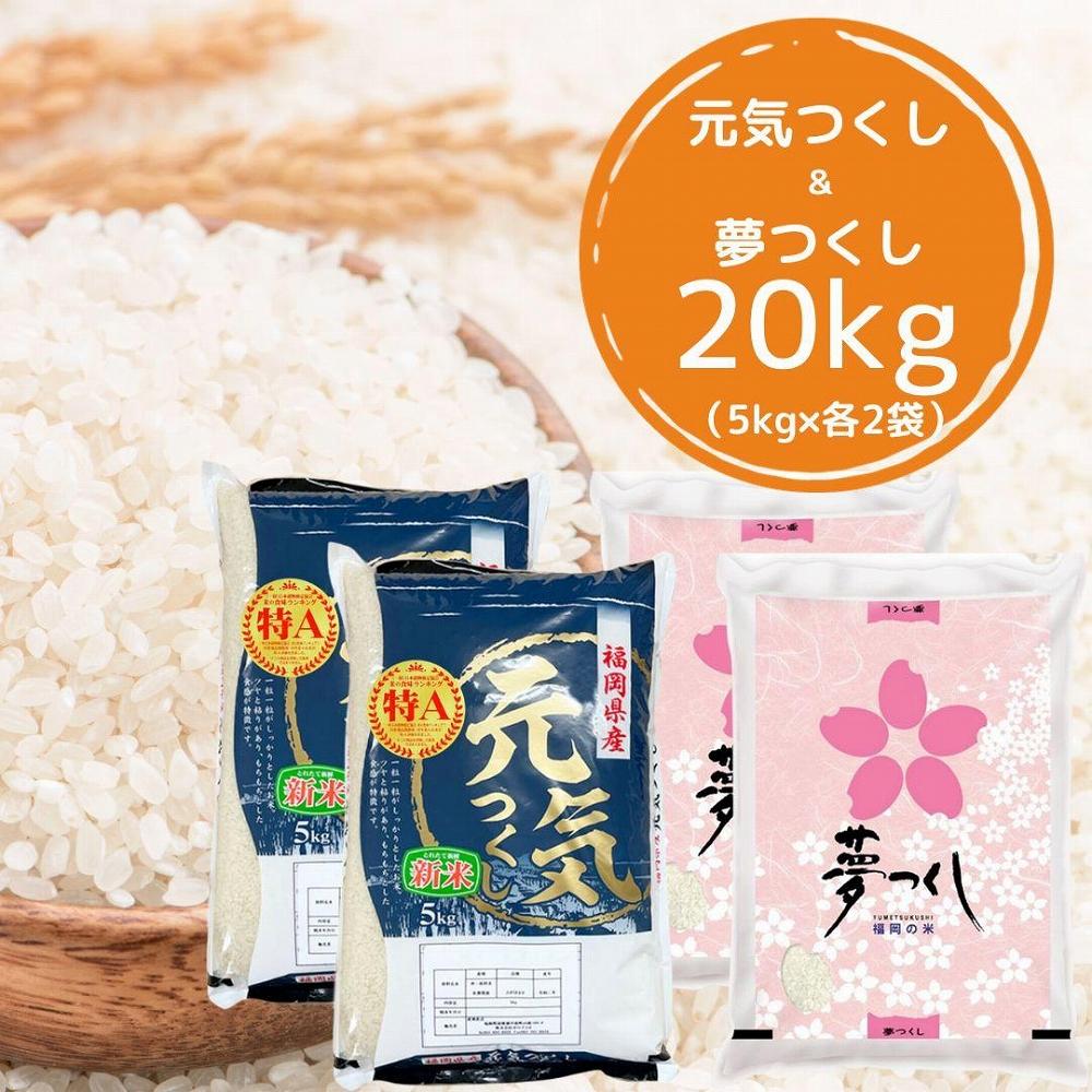 【令和7年産】福岡県産米食べ比べ＜白米＞セット「夢つくし」と「元気つくし」2種類 計20kg入り