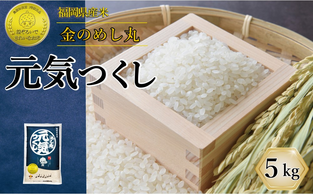令和7年米 福岡県産 米 金のめし丸元気つくし 5kg