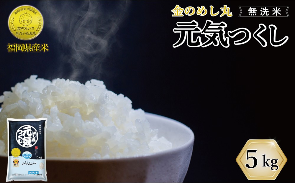 令和7年米 福岡県産 米 【無洗米】金のめし丸元気つくし 5kg