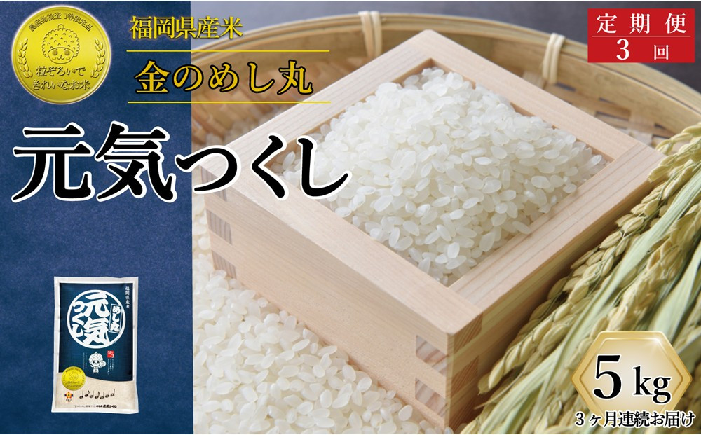 ＜全3回定期便＞令和7年米 福岡県産 米 金のめし丸元気つくし 5kg