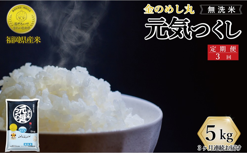 ＜全3回定期便＞令和7年米 福岡県産 米 【無洗米】金のめし丸元気つくし 5kg