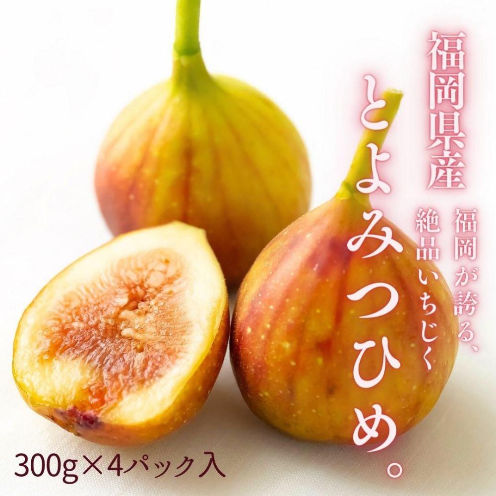 【2026年9月下旬より順次発送】福岡県産 とよみつ姫 約1.2kg以上(約300g×4パック入り) うまうまもぐもぐ