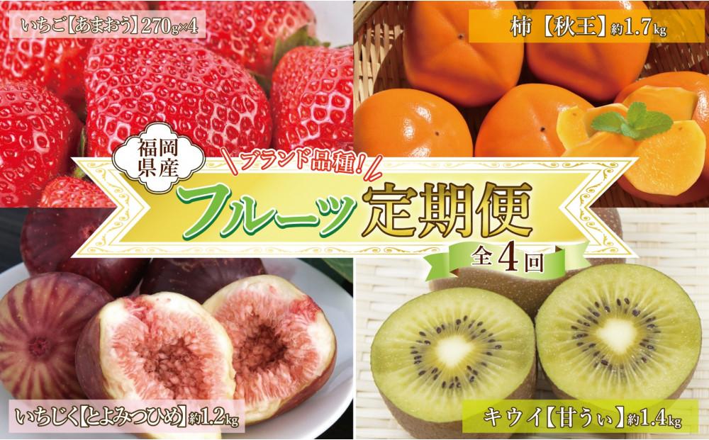 福岡フルーツ定期便A (あまおう・とよみつひめ・甘うぃ・秋王)【全4回】
