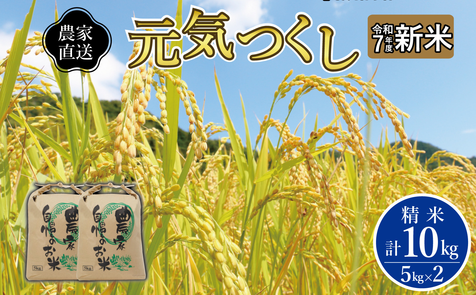《令和7年産 》福岡県大川市産 ブランド 米「 元気つくし 」 5kg×2個　計10kg
