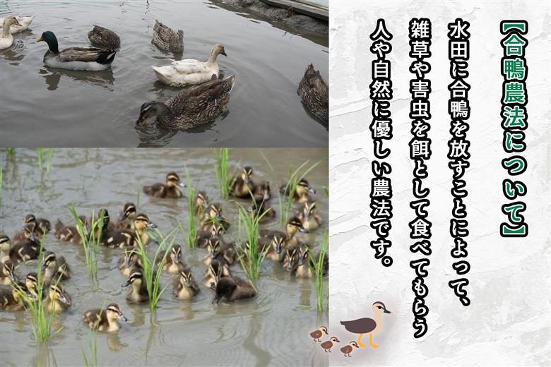 CB-001_合鴨農法のお米「ゆく鴨米」（元気つくし）2,700ｇ～安心･安全なお米を行橋市からお届け