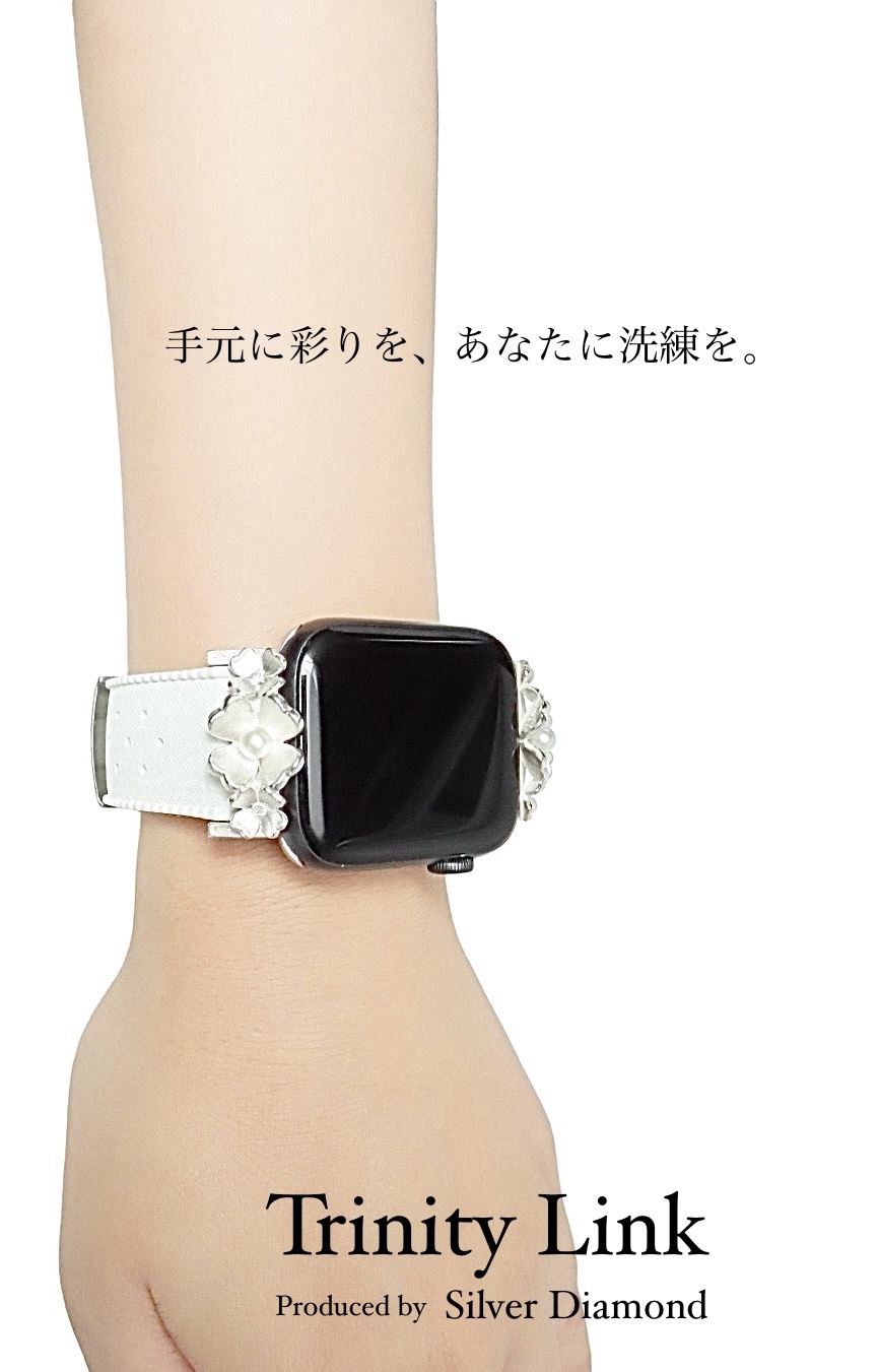 CN-014_Apple Watch専用シルバー925製バンド