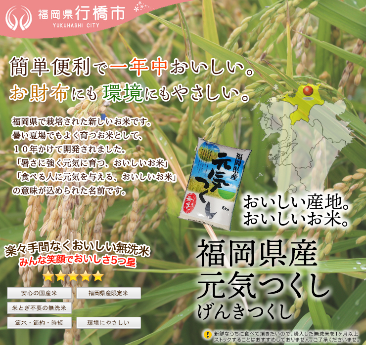 AF-007　福岡県産元気つくし【無洗米】5kg