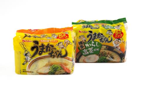 CE-048_うまかっちゃん５食・博多からし高菜風味５食（計10食セット）