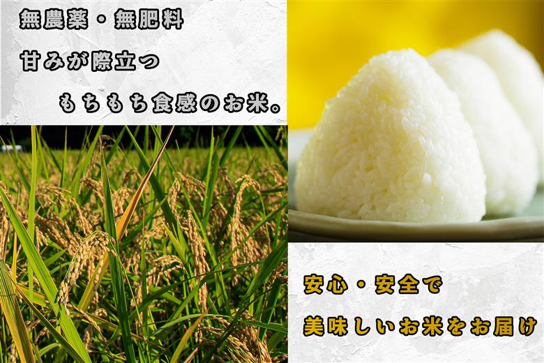 CB-001_合鴨農法のお米「ゆく鴨米」（元気つくし）2,700ｇ～安心･安全なお米を行橋市からお届け