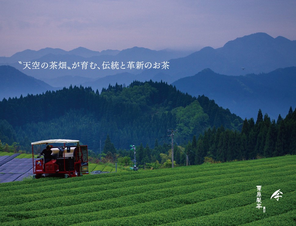 CE-011 八女玉露～心（しん）【栗原製茶】