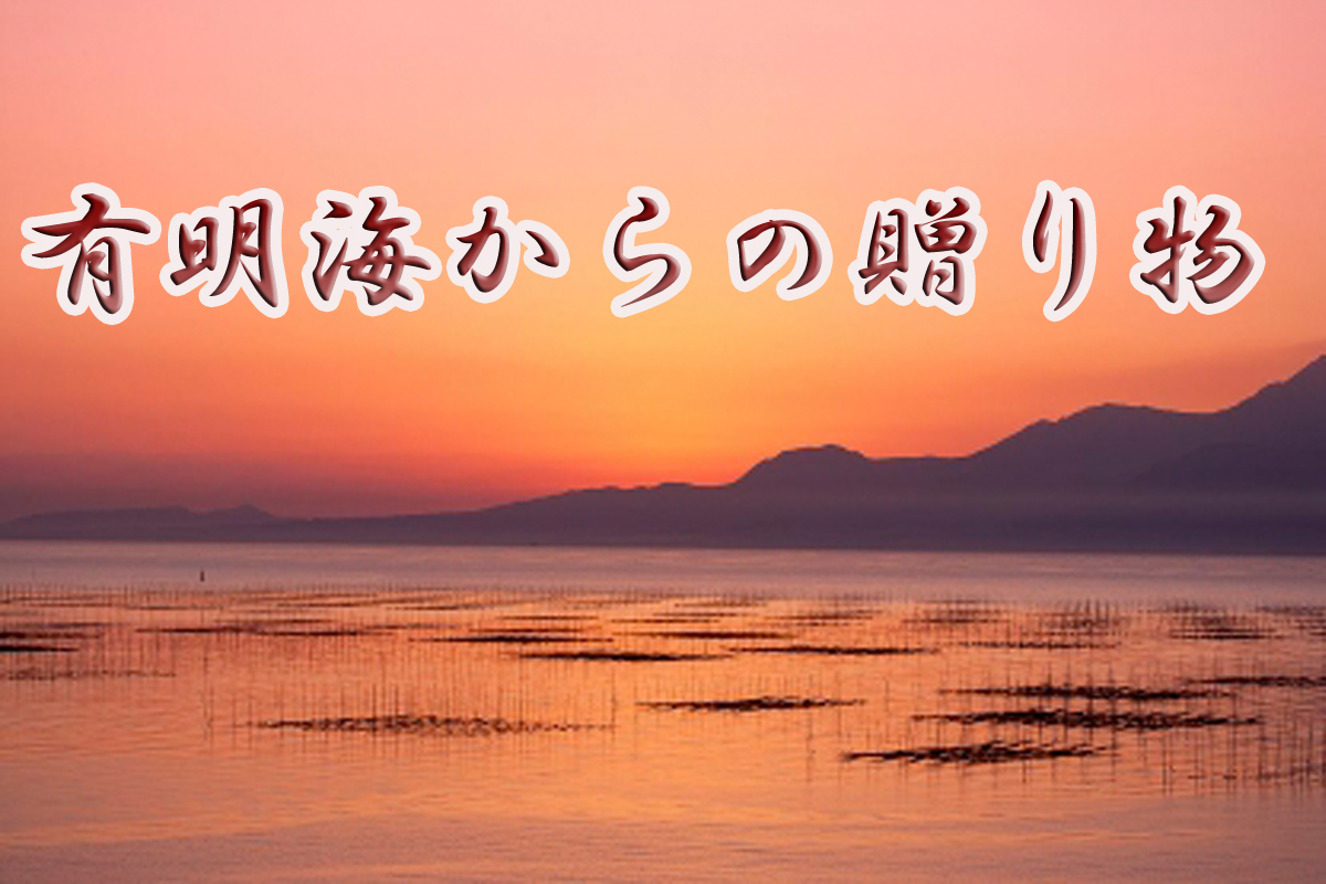 AN-009_有明海産のり特選優上焼のり10枚入×10袋＋味付のり
