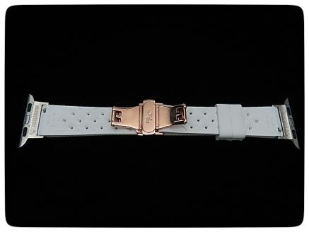 CN-008_Apple Watch専用シルバー925製チャーム_sevenstone(Ruby)&ラバーバンド