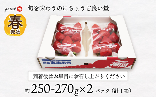 AT-002_博多あまおう2パック(春)『2～4月発送』