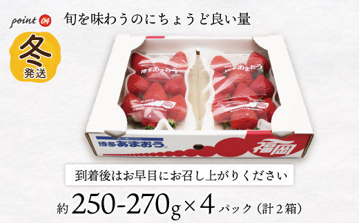 AT-003_博多あまおう4パック(冬)『12月上旬～1月下旬発送』