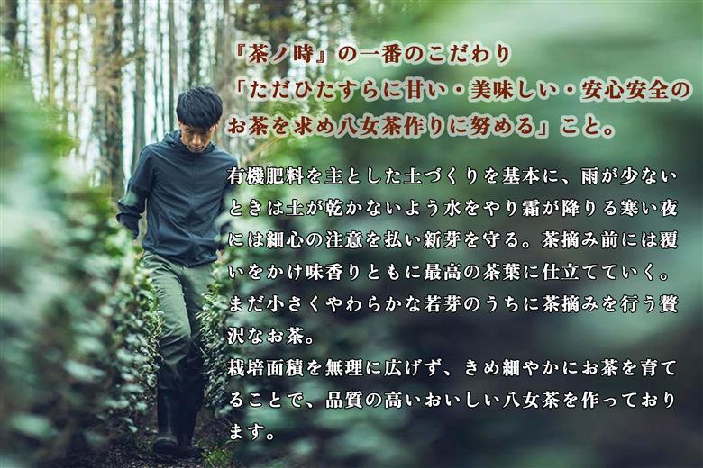 CE-072_【八女茶】原田茶園  八女茶パウダー　２袋（８０ｇ×２）