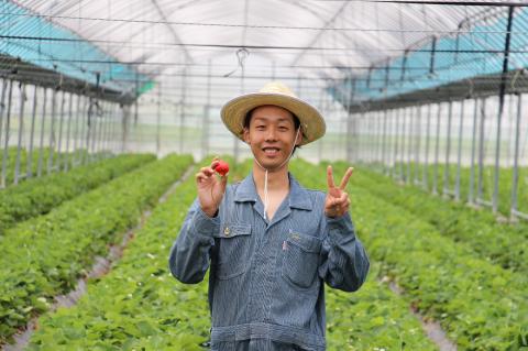 CZ-006_定期便【あまおう満喫】いちごデザートセット_全３回定期便