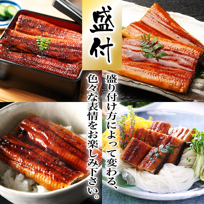 AU-065【当店オリジナル味付け】九州産・鰻の蒲焼2尾（計500g前後）