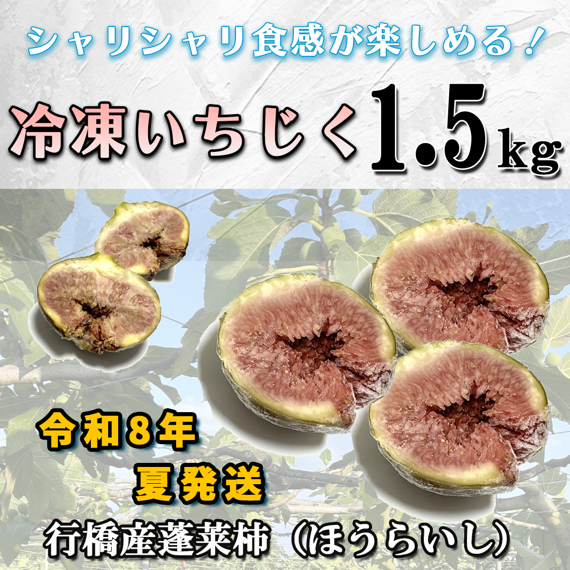 AO-001_【予約・令和８年夏発送】冷凍いちじく1.5kg