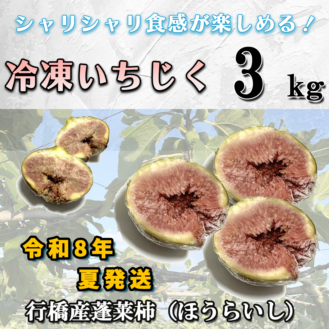 AO-011_【予約・令和８年夏発送】冷凍いちじく3kg