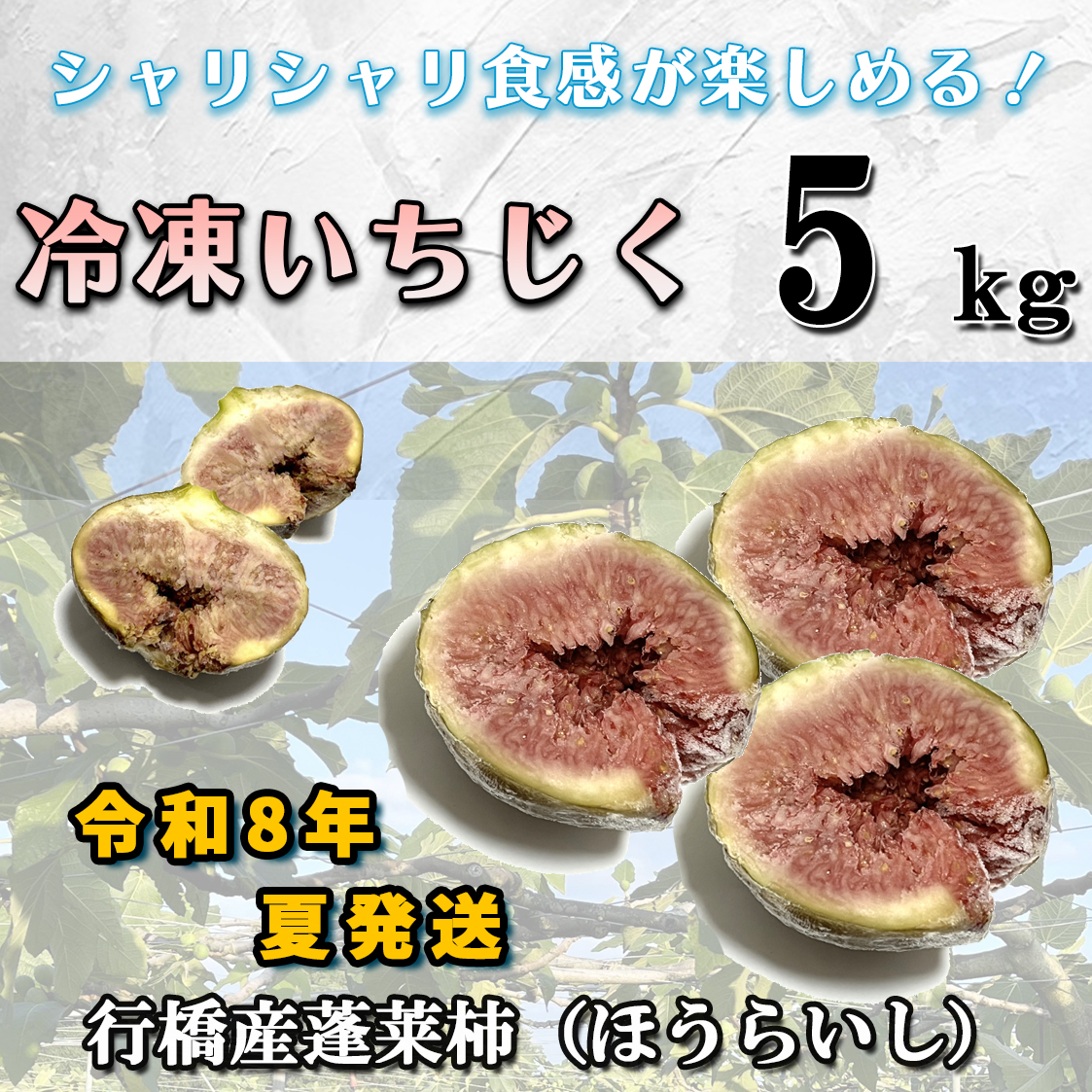 AO-013_【予約・令和８年夏発送】冷凍いちじく5kg