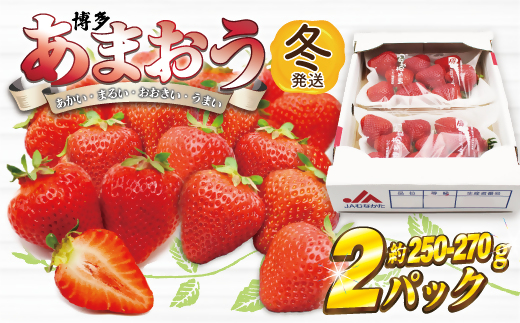 AT-001_博多あまおう2パック(冬)『12～1月発送』