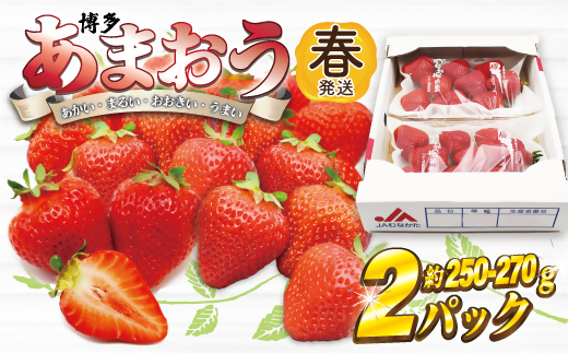 AT-002_博多あまおう2パック(春)『2～4月発送』