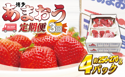 AT-006_博多あまおう4パック　3か月定期便