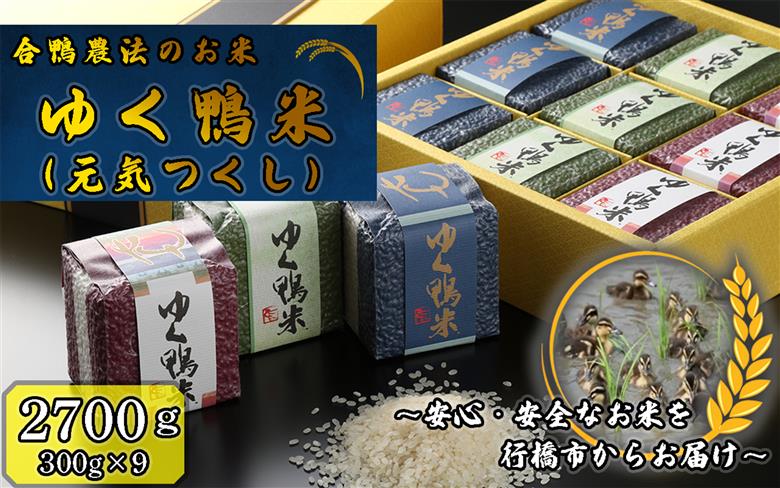 CB-001_合鴨農法のお米「ゆく鴨米」（元気つくし）2,700ｇ～安心･安全なお米を行橋市からお届け