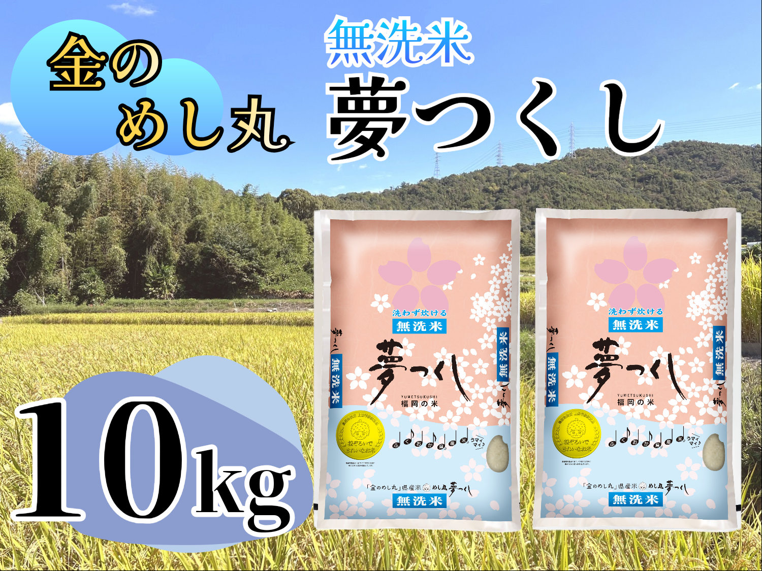 CE-064_令和７年米【無洗米】金のめし丸夢つくし　１０kg（５kg×２袋）