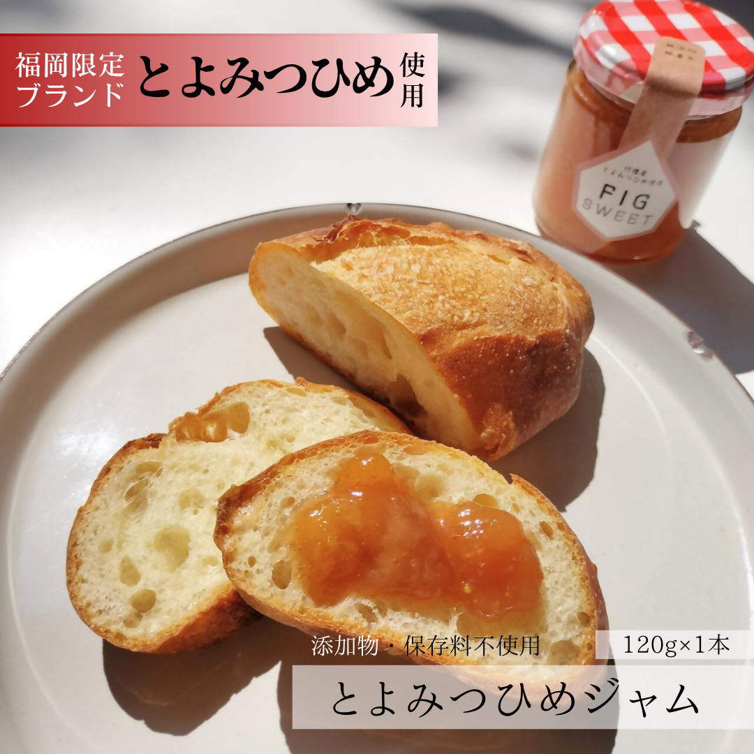DD-002_行橋産とよみつひめ使用　とよみつひめのジャム　120g×1本