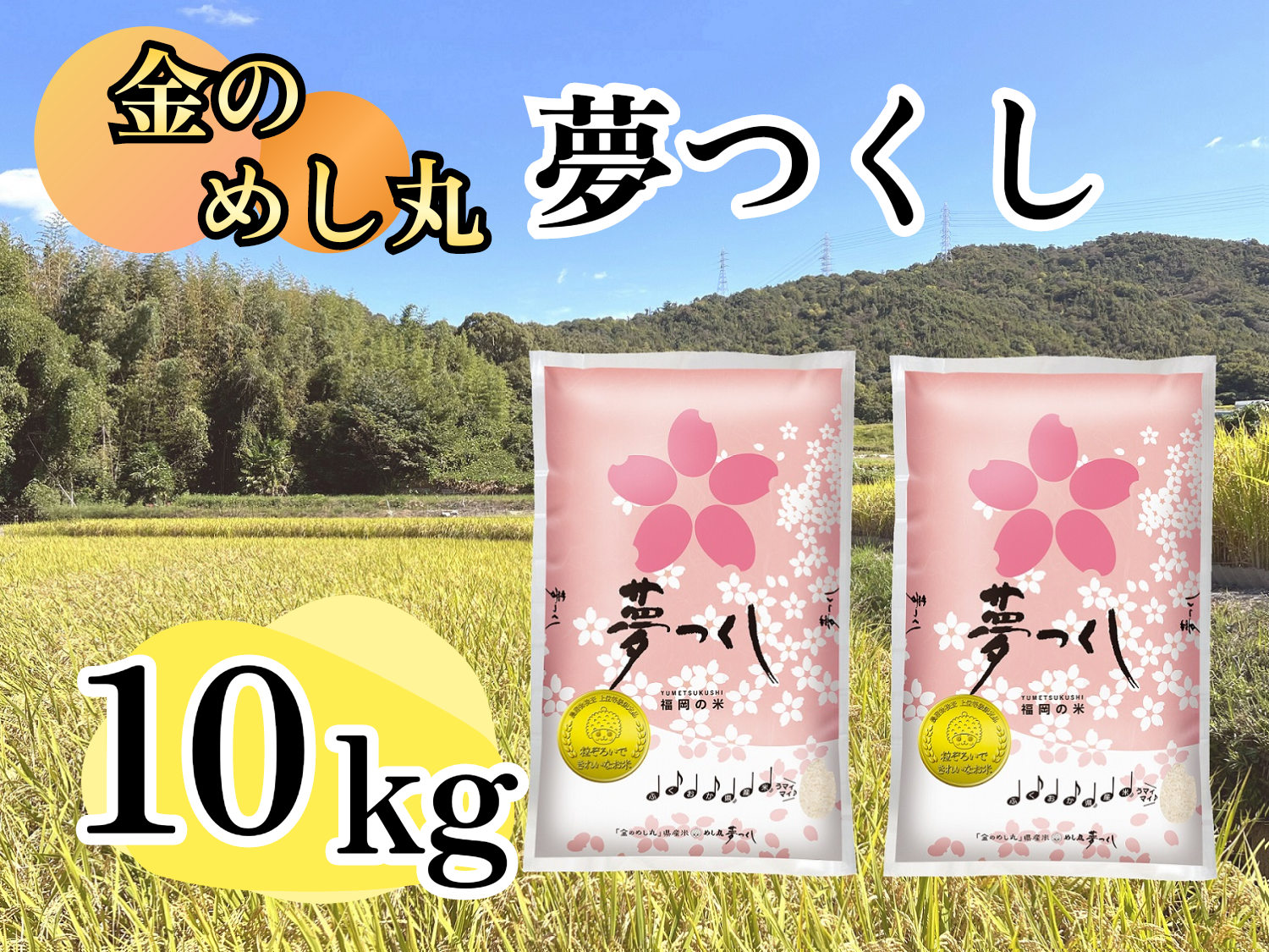 CE-053_令和７年米　金のめし丸夢つくし １０kg（５kg×２袋）