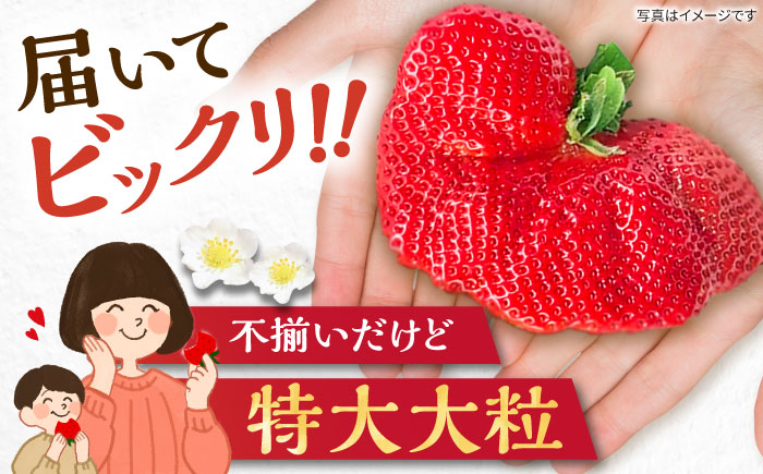 【先行予約】【1~4月発送】農家直送　大玉規格　特大大粒あまおう　《豊前》　【内藤農園】 [VAB023]