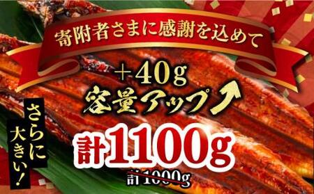福岡県産 うなぎ 蒲焼 特大 5尾 合計 1,100 g（1尾あたり 220g以上）《豊前市》【福岡養鰻】 国産 うなぎ 特大 [VAD006]