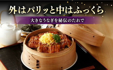 【全12回定期便】福岡県産 うなぎ 蒲焼 特大 2尾 合計 440 g（1尾あたり 220g以上）《豊前市》【福岡養鰻】 国産 うなぎ 特大 [VAD010]