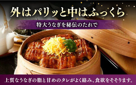 【全3回定期便】福岡県産 うなぎ 蒲焼 特大 10尾 計2,200g（1尾あたり 220g以上）《豊前市》【福岡養鰻】 国産 鰻 ウナギ 蒲焼き [VAD031]
