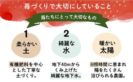 【2026年1月下旬より順次発送】ココロファーム の 濃厚あまおう 270g ×4P 1080g以上《豊前市》【ココロファーム】[VAE018] 苺 いちご あまおう 福岡県産 先行予約