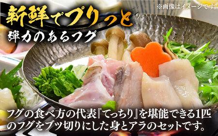 【12月中旬より発送開始】白子付き国産活本ふぐ（トラフグ）鍋用 《もり多》【豊前市】 とらふぐ ふぐ コース [VAF038]