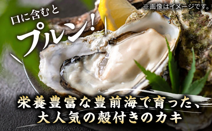 【先行予約】豊前海一粒かき 5kg  【2026年1月中旬以降順次発送】  《豊前市》【豊築漁業協同組合】 牡蠣 カキ かき 牡蛎 [VAG010]