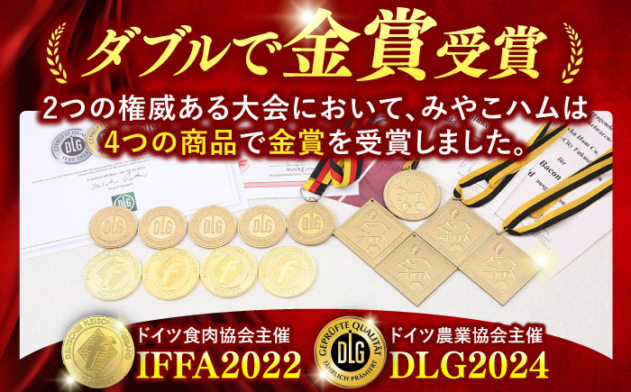 【ドイツで金賞受賞！】 DLG 2024 金賞 受賞 セット《豊前市》【みやこハム】 [VAN001] 肉 ハム ウインナー ベーコン ソーセージ 贈り物 ギフト ウインナーソーセージ ウインナー ソーセージ ベーコン ハム おつまみ ビール