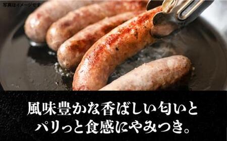 あらびき 生ソーセージ 6本 × 5パック 《豊前市》【みやこハム】 肉 豚肉 ソーセージ [VAN013] ソーセージ ウインナー ウインナーソーセージ 生ソーセージ 生ウインナーソーセージ ソーセージ 肉 豚肉 ソーセージ 生ソーセージ あらびき 粗挽き 荒挽き ソーセージ