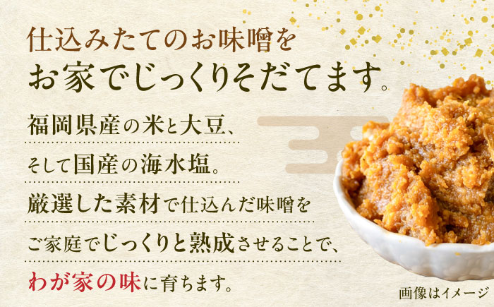 育てる味噌 5kg 《豊前市》　【浦野醤油醸造元】みそ　米味噌 [VAV019]