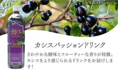 カシス パッション ドリンク 6本 セット《豊前市》【ハウスボトラーズ】果汁 ジュース 飲料 [VAX013]