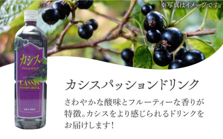 【全4回定期便】カシス パッション ドリンク 6本 セット《豊前市》【ハウスボトラーズ】果汁 ジュース 飲料（3ヶ月おきにお届けします） [VAX020]