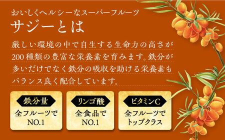 【全12回定期便】サジー ジュースが毎月届く！SajiOneオーガニック（1本）《豊前市》【ハウスボトラーズ】 [VAX032]