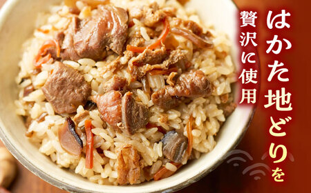 地どり飯の素 セット 190g×3袋 《豊前市》【有限会社よかろう】鶏飯 鶏めし ご飯の素 地鶏飯 炊き込みご飯の素 [VBA008]