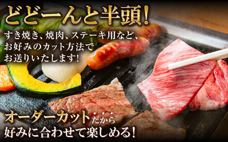 【半頭丸ごとオーダーカット！】博多和牛 半頭食べ尽くしセット《豊前市》【株式会社MEAT PLUS】 [VBB083]