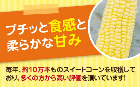 【先行予約受付　2026年6月頃より順次発送】【冷蔵配送】農家直送 朝どれ スイートコーン 約4kg（9～12本入り）《豊前市》【湯越農園】 野菜 コーン [VBC001] とうもろこし