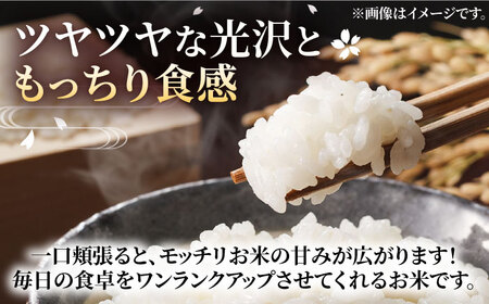 【R7年産新米】【全3回定期便】福岡県産米 夢つくし 10kg×1袋 《豊前市》【湯越農園】米 精米 白米 [VBC005]