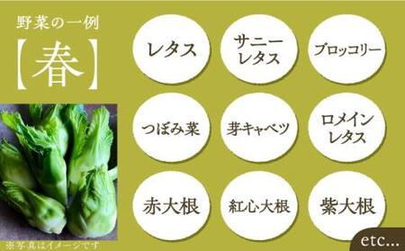 農家が選ぶ!旬の新鮮野菜セット約15種類と農家が作るドレッシング(200g×3本セット)《豊前市》【田村農産】産直 野菜 やさい 詰め合わせ ドレッシング [VBE003]
